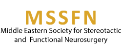 MSSFN